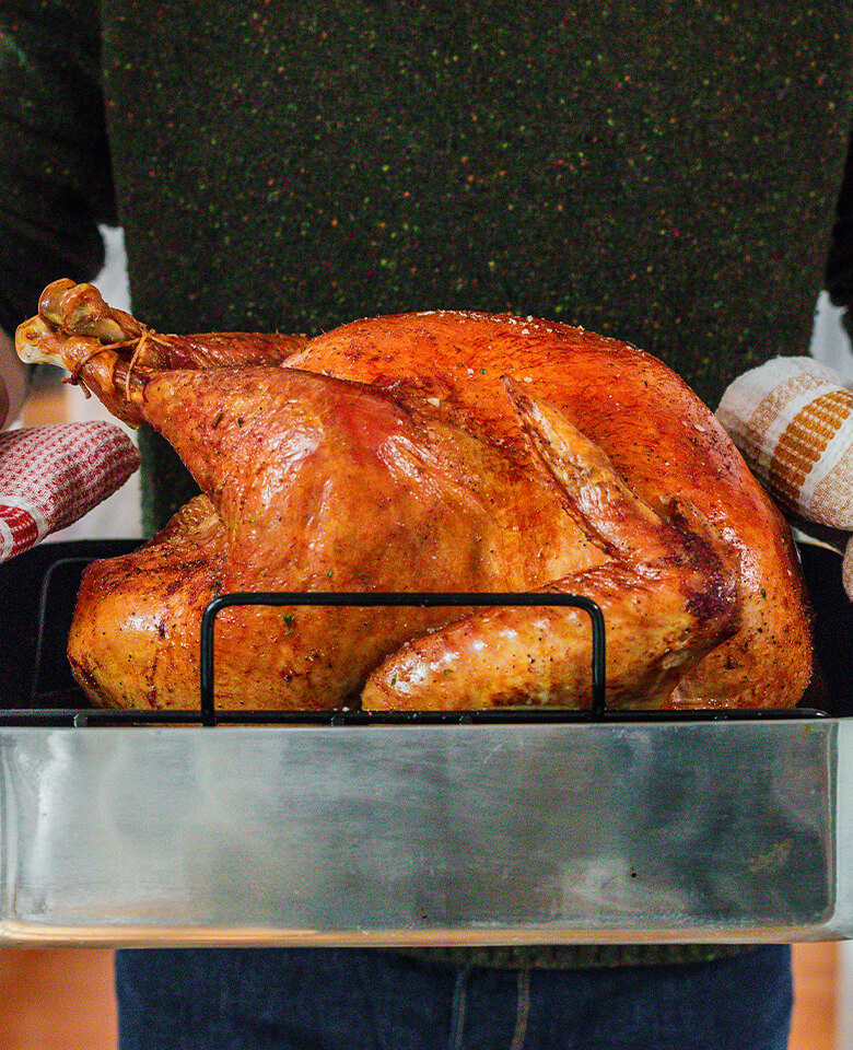 turkey in roasting pan