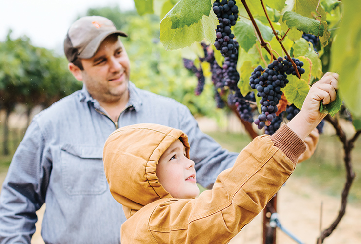 Mt. Hope Farms Family members reaching for grapes.